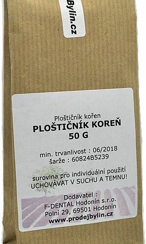 Ploštičník hroznovitý